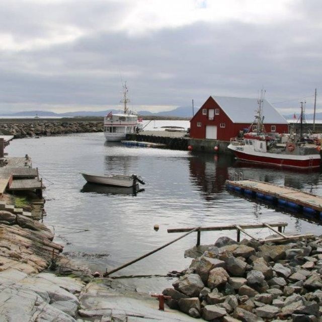 Sydhavne i Grip